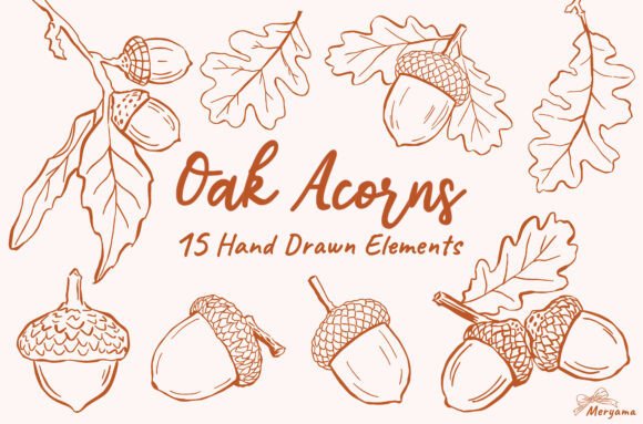 Download Hand Drawn Fall Oak Acorns Autumn SVG - Drawn Collection